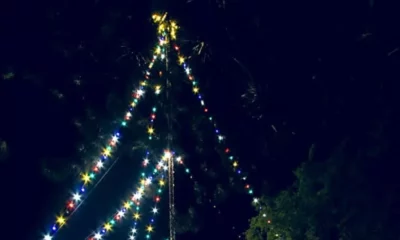 Árbol de navidad barrio parque