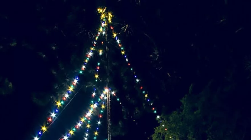 Árbol de navidad barrio parque