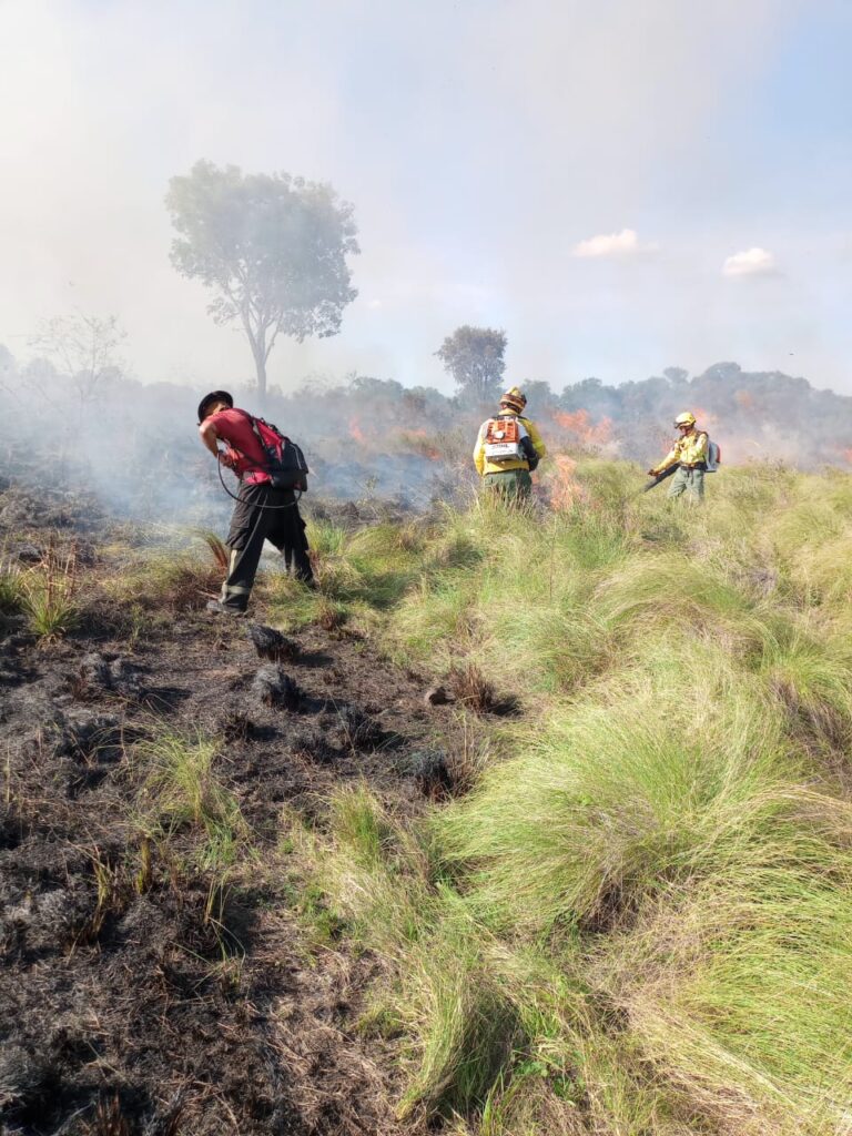 Incendio arrasó 120 hectáreas en Santa Ana: Bomberos trabajaron durante 10 horas para controlarlo imagen-7