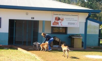 Centro de Veterinario y zoonosis eldorado