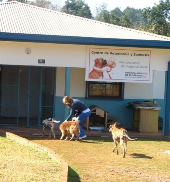 Centro de Veterinario y zoonosis eldorado