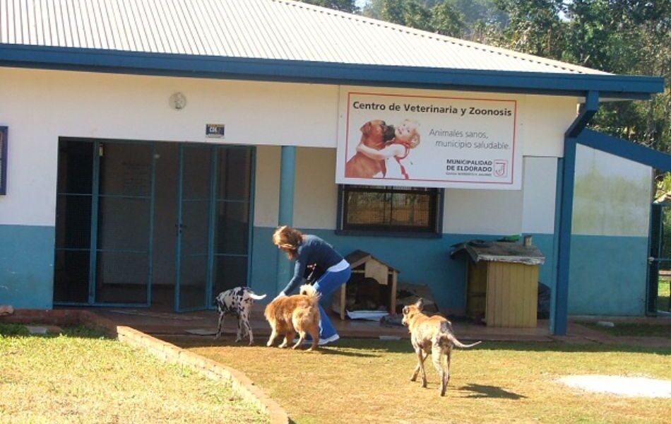 Centro de Veterinario y zoonosis eldorado