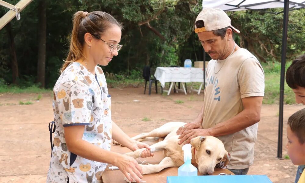 Operativo Sanitario