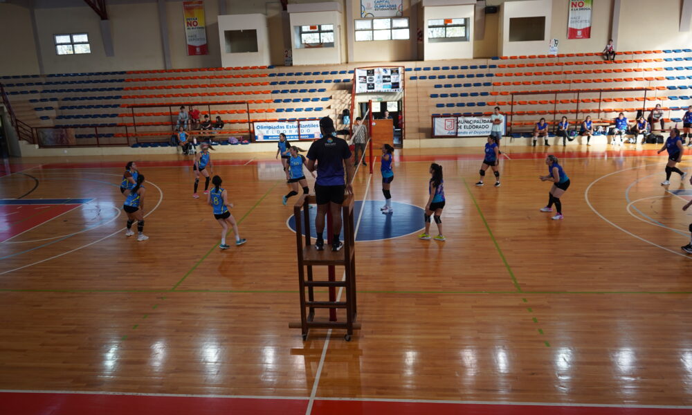 voley femenino libre