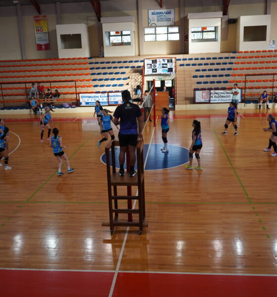 voley femenino libre