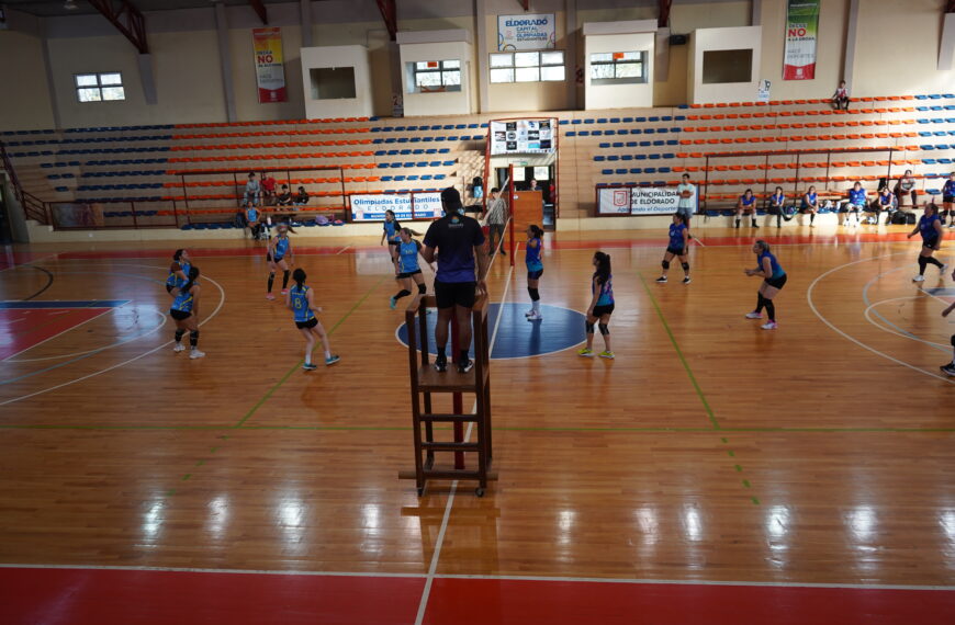 voley femenino libre