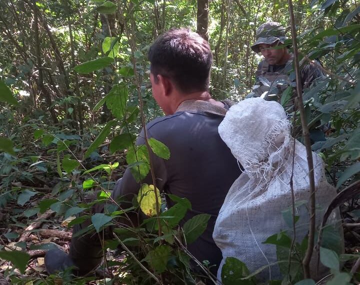 Guardaparques desmantelaron campamentos ilegales durante un patrullaje en Salto Encantado