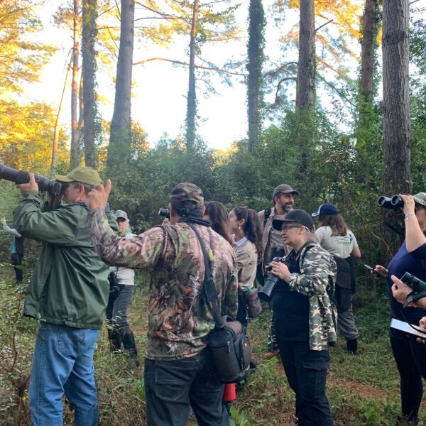 Observación de aves y educación ambiental en la Fiesta Colonial de Ruiz de Montoya