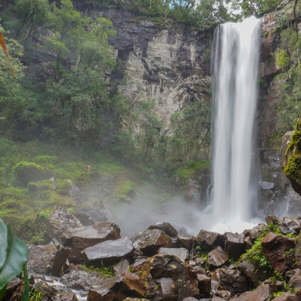Naturaleza y aventura en los Parques Provinciales y Temático de Misiones