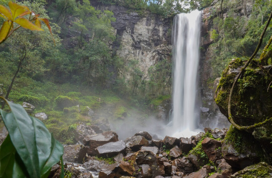 Naturaleza y aventura en los Parques Provinciales y Temático de Misiones