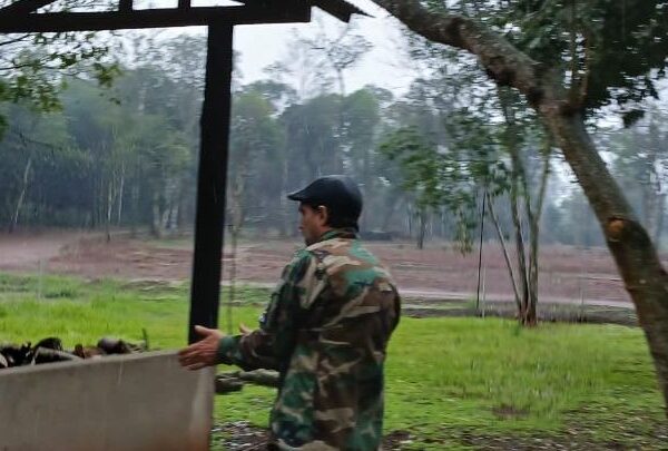 Tras una inspección ambiental, detienen obras del kartódromo en Puerto Iguazú