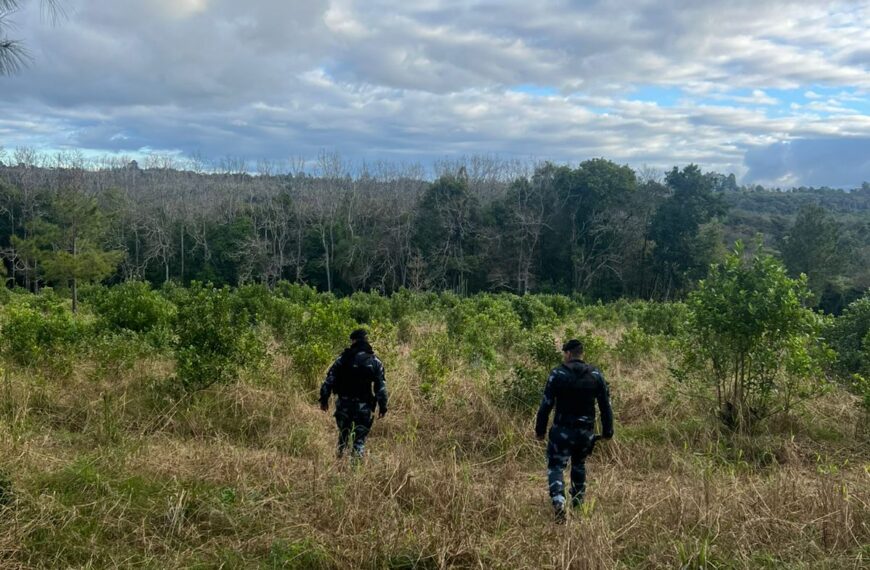 Oberá: Un hombre es buscado intensamente desde hace varios días