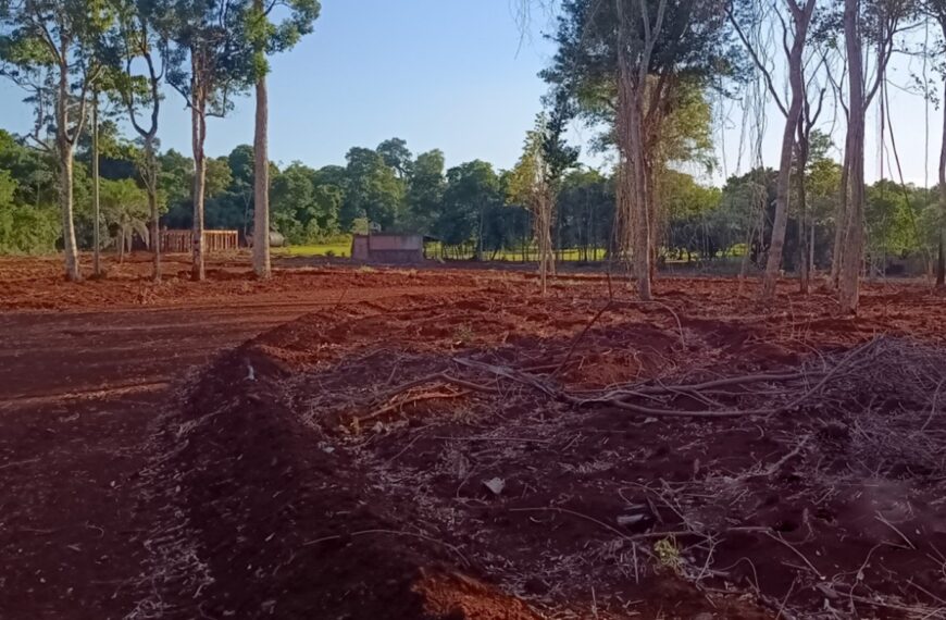 El Ministerio de Ecología rechazó la viabilidad ambiental del proyecto de kartódromo en Puerto Iguazú