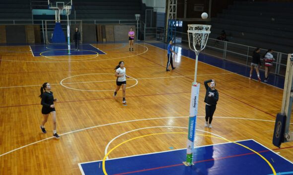 CESTOBALL