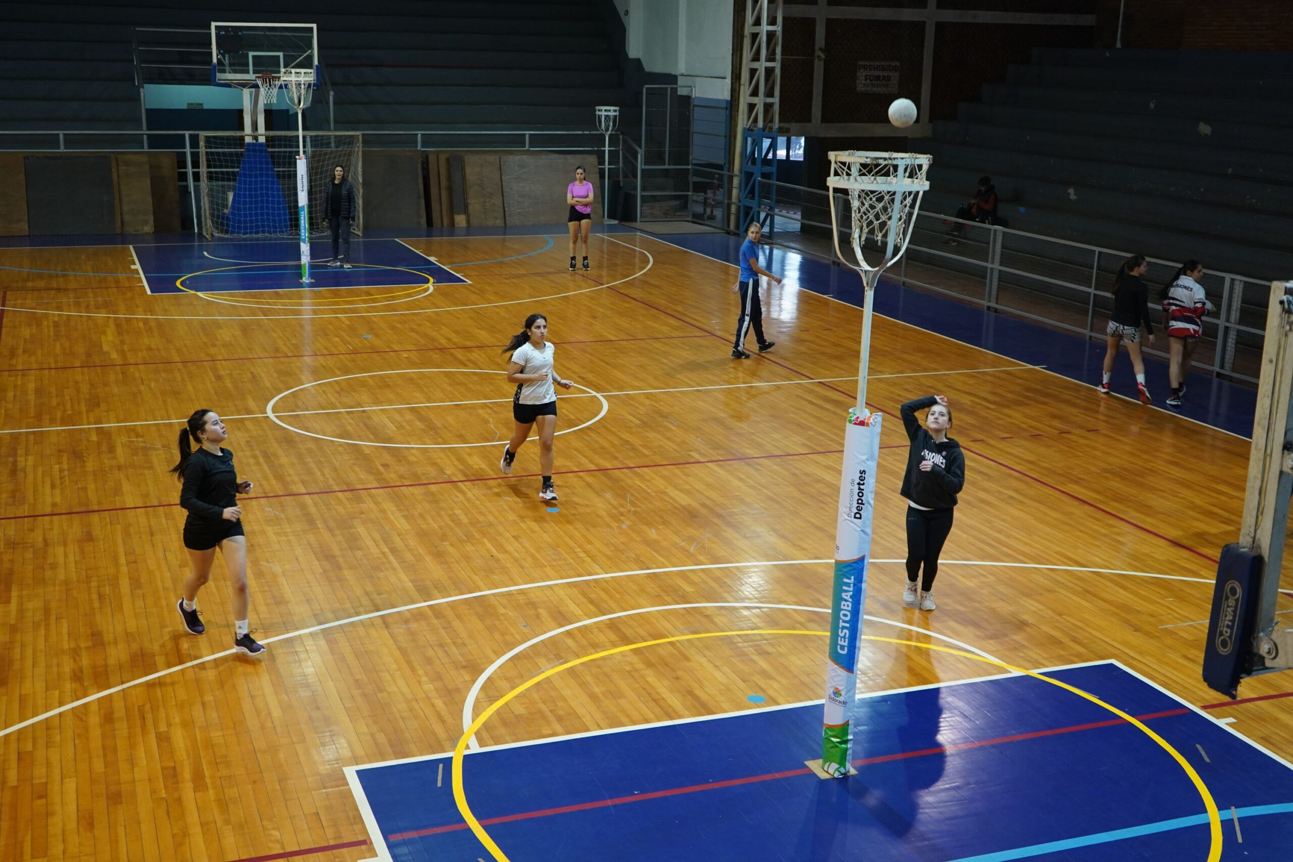 CESTOBALL