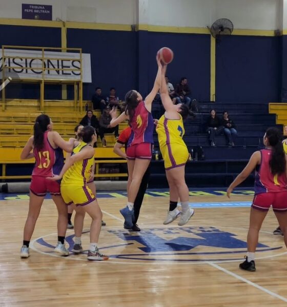El coatí femenino