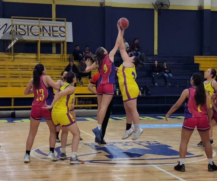 El coatí femenino