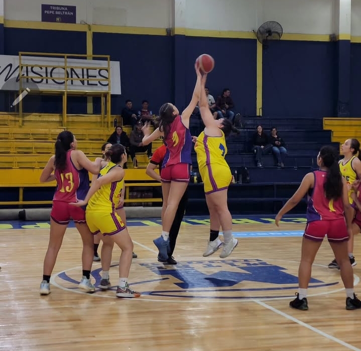 El coatí femenino