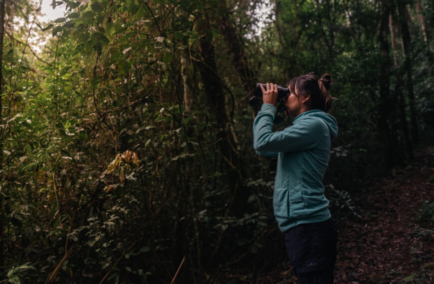 VOLAR 2025: Misiones celebrará el primer encuentro internacional de observación de aves 