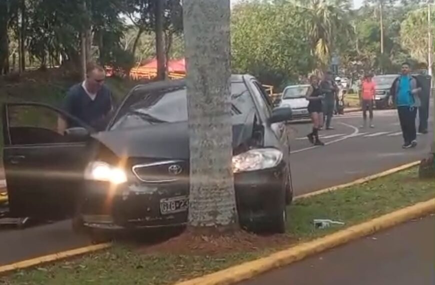 Un auto chocó contra un palmera en la Costanera de Eldorado