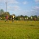 Fútbol Olimpiadas Estu