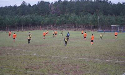 Fútbol Senior