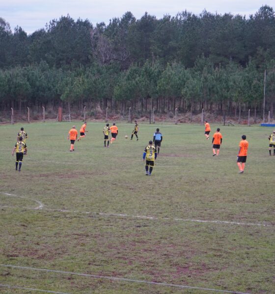Fútbol Senior