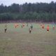 Fútbol Senior
