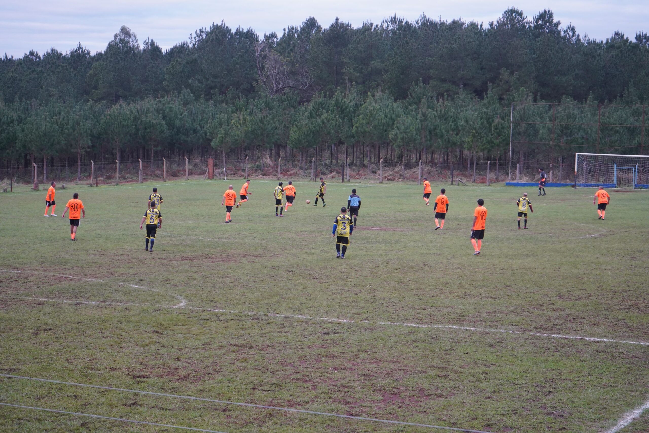 Fútbol Senior