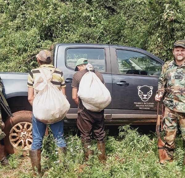 Misiones incrementó casi un 20% los operativos de guardaparques contra la caza y pesca furtiva en el primer semestre del año