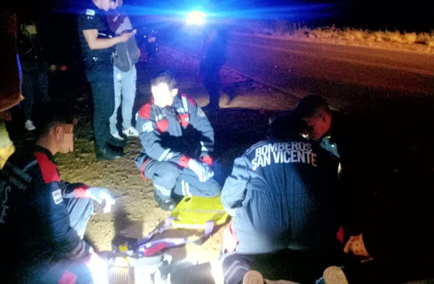 Colisión entre motocicleta y un animal vacuno dejó un herido en la Ruta Provincial 221