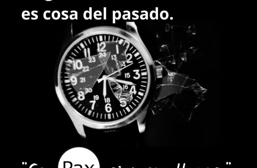Pax: seguridad, agilidad y transparencia para viajar en Eldorado
