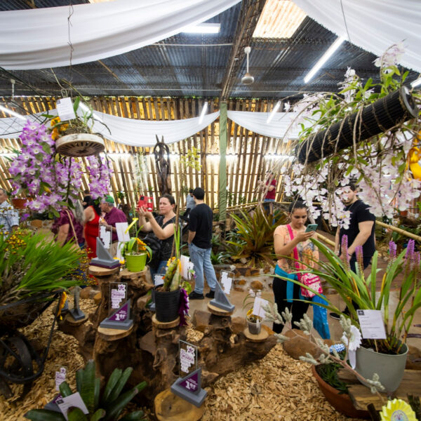 Todo listo para la Fiesta Nacional de la Orquídea y la 41 Fiesta Provincial de la Flor