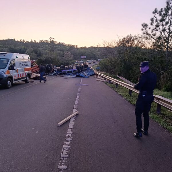 Despistó un camión cargado con madera en la ruta 14 y el tránsito fue interrumpido