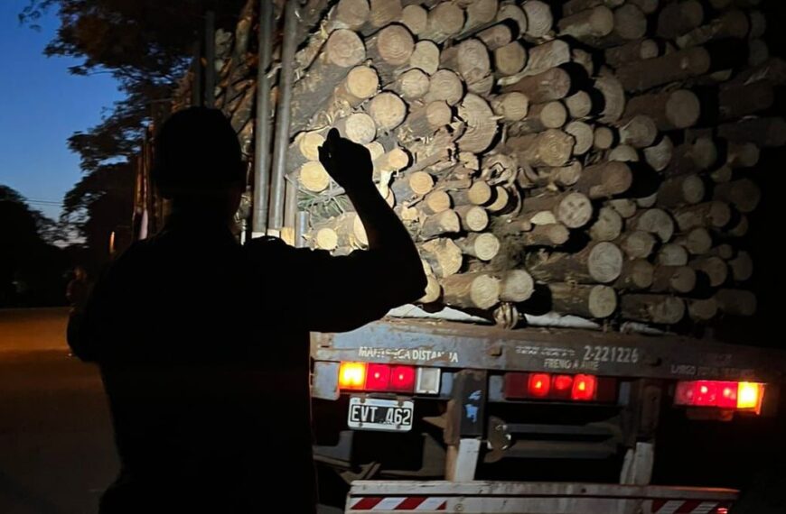 El Ministerio de Ecología refuerza los controles forestales en rutas de Misiones