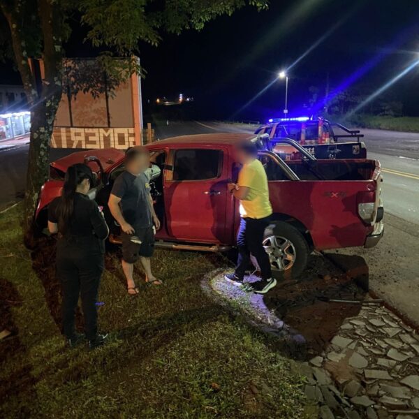Jardín América: Un Conductor alcoholizado fue detenido tras despistar con su camioneta en la Ruta Nacional 12