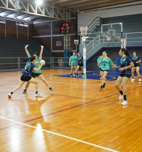 Cestoball Misiones