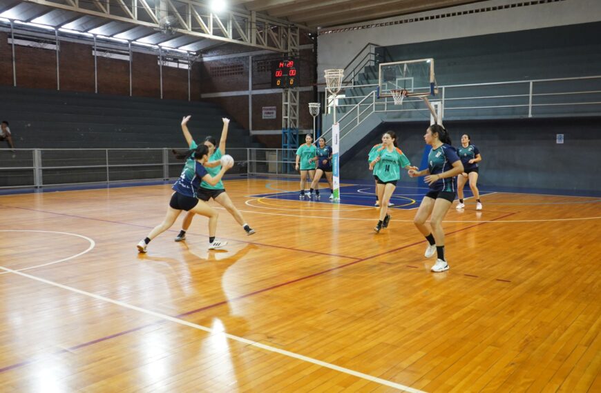 Cestoball Misiones