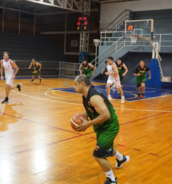 básquet senior