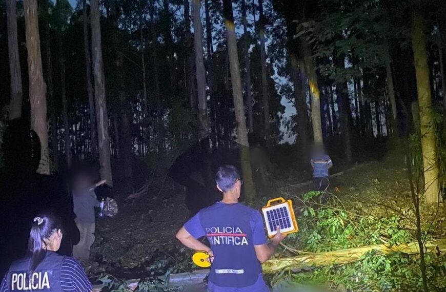 Murió un trabajador al ser golpeado por un eucalipto durante tareas de obraje en Ruiz de Montoya