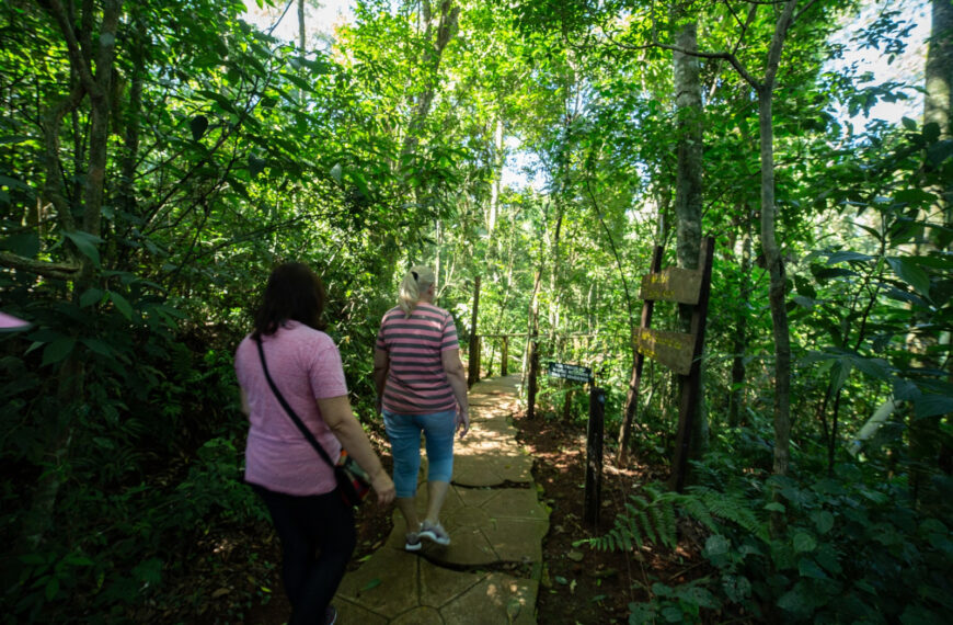 Experiencias Encantadas: naturaleza, bienestar y aprendizajes