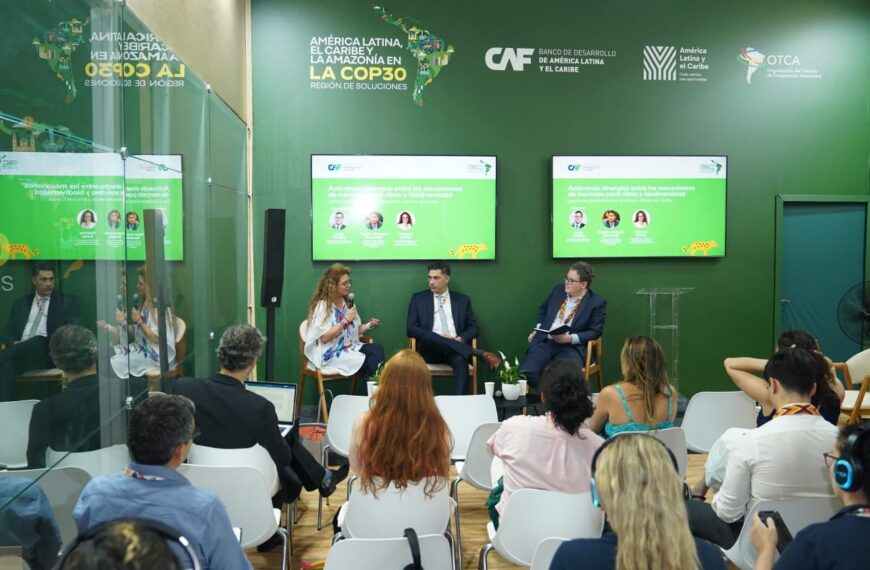 Misiones participó en la COP30 en un debate clave sobre financiamiento climático y conservación