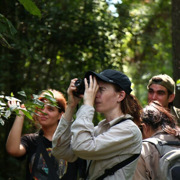 El Parque Natural Municipal “Lago Ziegler” de Eldorado será parte de la Ruta de las Aves de Misiones