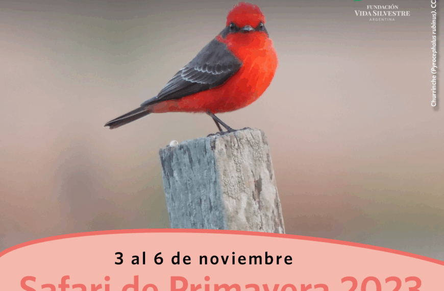 Cerca de 2 mil personas participaron del ciclo de Safaris de Fundación Vida Silvestre Argentina en 2025