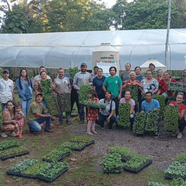 Se entregaron 350 bandejas de plantines de diferentes variedades