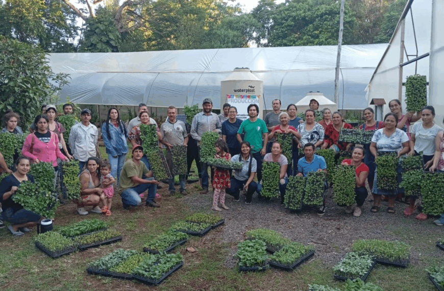 Se entregaron 350 bandejas de plantines de diferentes variedades