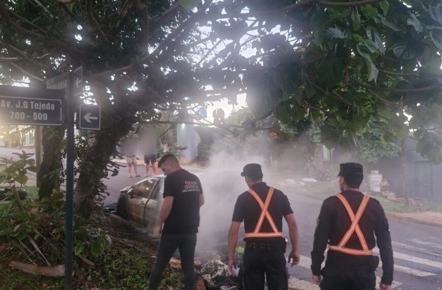 San Vicente: un auto se incendió durante la madrugada sin dejar heridos