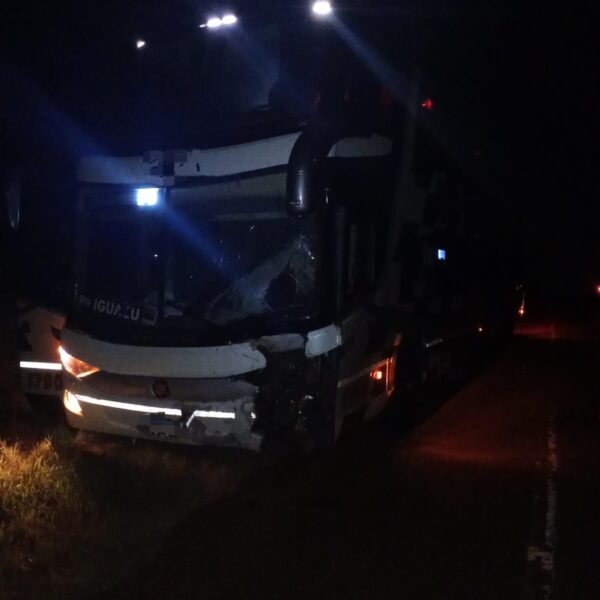 Siniestro fatal en la Ruta Nacional 12: Dos personas fallecidas