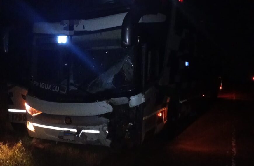 Siniestro fatal en la Ruta Nacional 12: Dos personas fallecidas