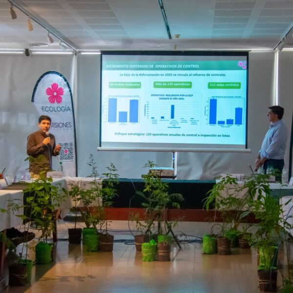 Misiones presentó avances en el monitoreo y la gestión de los bosques nativos y confirmó una reducción sostenida de la deforestación
